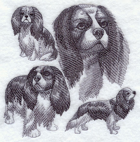 Cavalier King Charles Spaniel Sketch