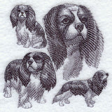 Cavalier King Charles Spaniel Sketch