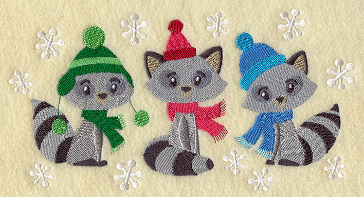 Winter Raccoon Trio