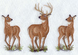 Woodland Deer Trio