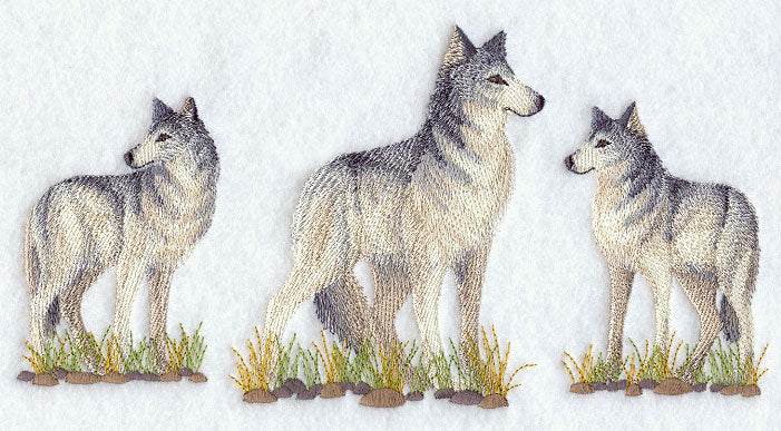 Gray Wolf Trio