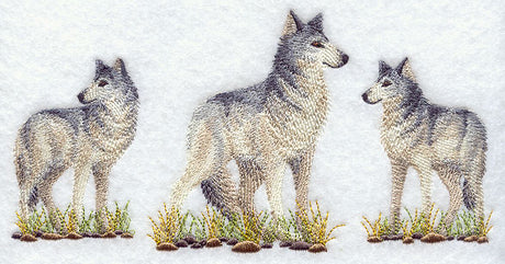 Gray Wolf Trio