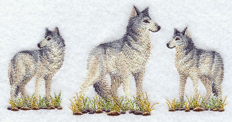 Gray Wolf Trio