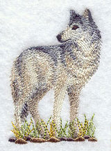 Gray Wolf 1