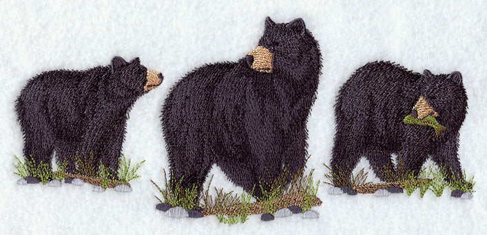 American Black Bear Trio