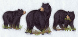 American Black Bear Trio