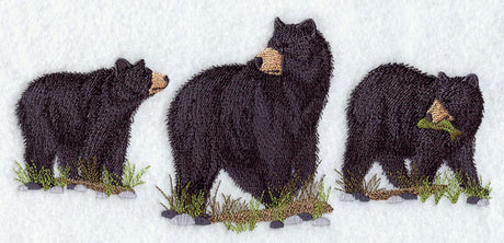 American Black Bear Trio