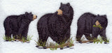 American Black Bear Trio