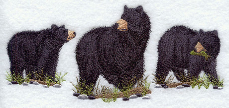 American Black Bear Trio