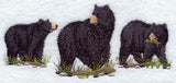 American Black Bear Trio