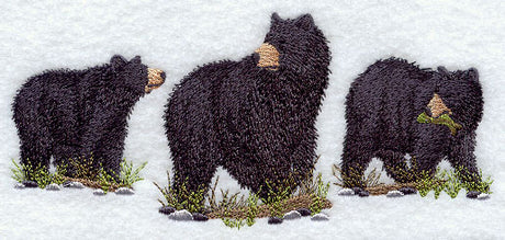 American Black Bear Trio