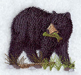 American Black Bear 3