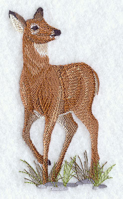 Woodland Deer 1