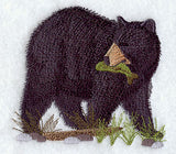 American Black Bear 3