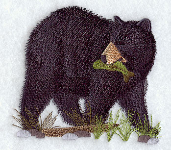 American Black Bear 3