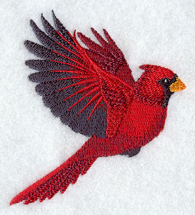 Soaring Cardinal (Male)