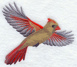 Soaring Cardinal (Female)