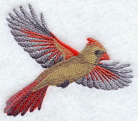 Soaring Cardinal (Female)