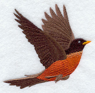 Soaring Robin