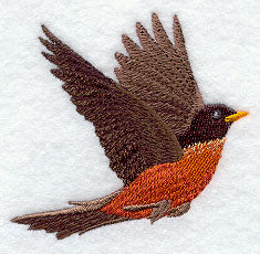 Soaring Robin