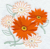 Sweet Daisy Medley