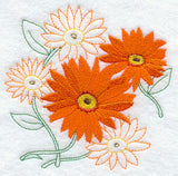 Sweet Daisy Medley
