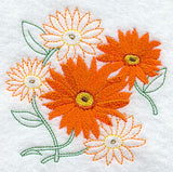 Sweet Daisy Medley