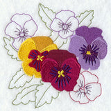 Sweet Pansy Medley