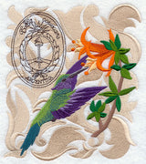 Sparkling Violetear Hummingbird