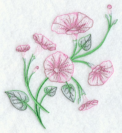 Good Morning Glories 1