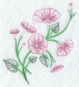 Good Morning Glories 1