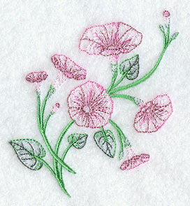 Good Morning Glories 1