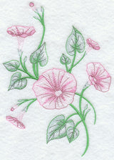 Good Morning Glories 2