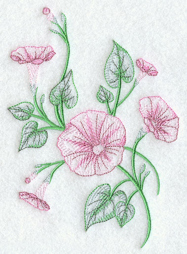 Good Morning Glories 2