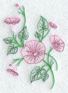 Good Morning Glories 2