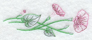 Good Morning Glories Border