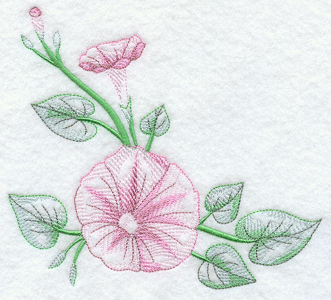 Good Morning Glories Corner