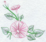 Good Morning Glories Corner