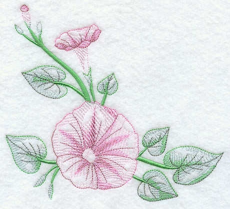 Good Morning Glories Corner