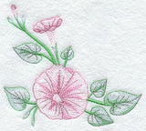 Good Morning Glories Corner