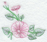 Good Morning Glories Corner