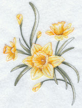 Dashing Daffodils 1