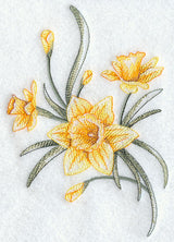Dashing Daffodils 1