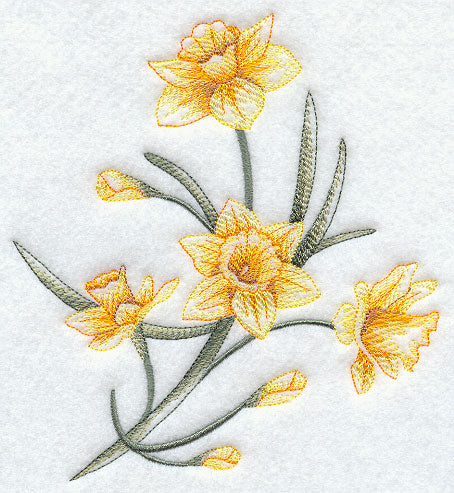 Dashing Daffodils 2