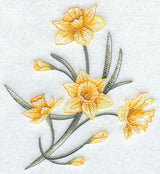 Dashing Daffodils 2
