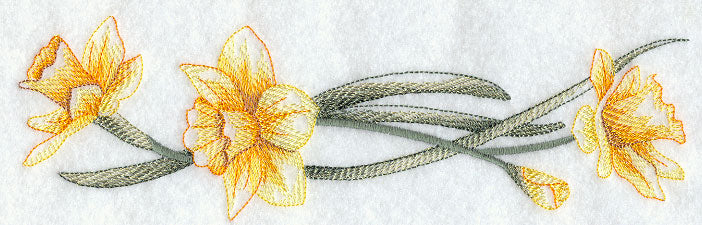 Dashing Daffodils Border