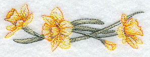Dashing Daffodils Border