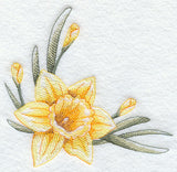 Dashing Daffodils Corner