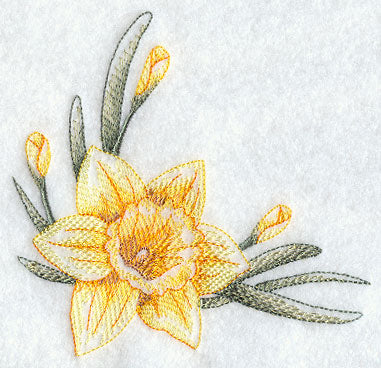 Dashing Daffodils Corner