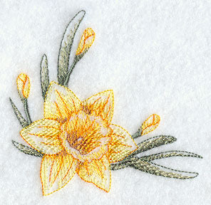 Dashing Daffodils Corner